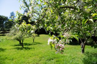 Single Family Residence,  Sparkes road, Sebastopol, CA 95472 - 56