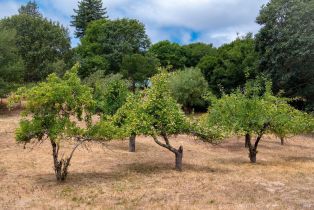 Single Family Residence,  Sparkes road, Sebastopol, CA 95472 - 52