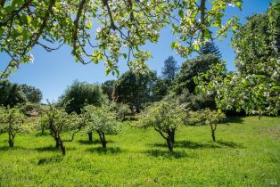 Single Family Residence,  Sparkes road, Sebastopol, CA 95472 - 55