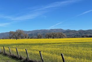 Single Family Residence,  Orange avenue, Sonoma, CA 95476 - 59