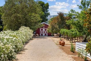 Single Family Residence,  Orange avenue, Sonoma, CA 95476 - 47