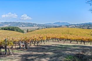 Single Family Residence,  Rogers lane, Healdsburg, CA 95448 - 54