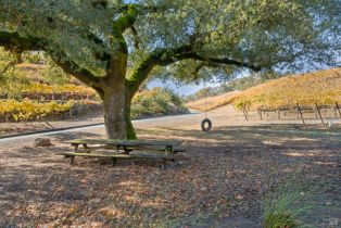 Single Family Residence,  Rogers lane, Healdsburg, CA 95448 - 50