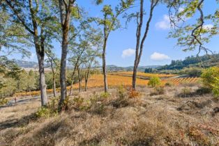 Single Family Residence,  Rogers lane, Healdsburg, CA 95448 - 52