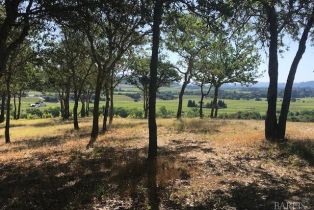 Residential Acreage,  Dry Creek road, Healdsburg, CA 95448 - 3