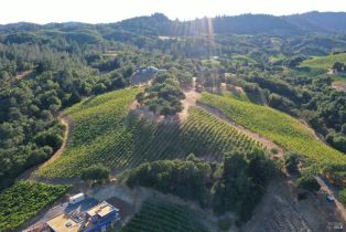 Residential Acreage,  Dry Creek road, Healdsburg, CA 95448 - 23