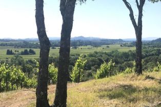 Residential Acreage,  Dry Creek road, Healdsburg, CA 95448 - 9