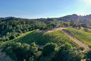 Residential Acreage,  Dry Creek road, Healdsburg, CA 95448 - 26