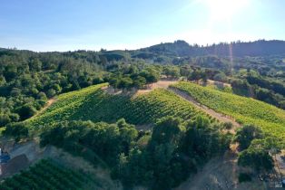 Residential Acreage,  Dry Creek road, Healdsburg, CA 95448 - 25