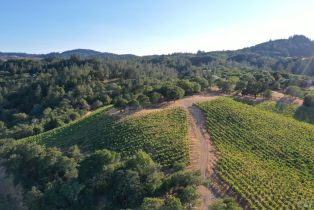 Residential Acreage,  Dry Creek road, Healdsburg, CA 95448 - 29