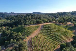 Residential Acreage,  Dry Creek road, Healdsburg, CA 95448 - 30