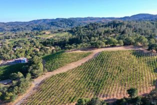 Residential Acreage,  Dry Creek road, Healdsburg, CA 95448 - 5