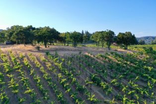 Residential Acreage,  Dry Creek road, Healdsburg, CA 95448 - 36