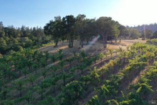 Residential Acreage,  Dry Creek road, Healdsburg, CA 95448 - 35