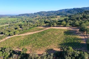 Residential Acreage,  Dry Creek road, Healdsburg, CA 95448 - 2