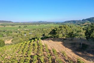 Residential Acreage,  Dry Creek road, Healdsburg, CA 95448 - 31