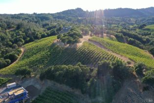 Residential Acreage,  Dry Creek road, Healdsburg, CA 95448 - 24