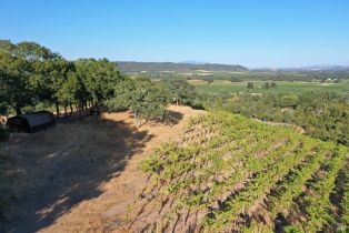 Residential Acreage,  Dry Creek road, Healdsburg, CA 95448 - 20