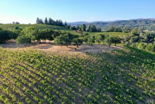 Residential Acreage,  Dry Creek road, Healdsburg, CA 95448 - 37