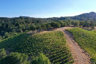 Residential Acreage,  Dry Creek road, Healdsburg, CA 95448 - 8