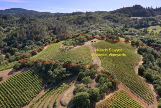 Residential Acreage,  Dry Creek road, Healdsburg, CA 95448 - 7