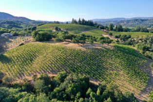 Residential Acreage,  Dry Creek road, Healdsburg, CA 95448 - 17