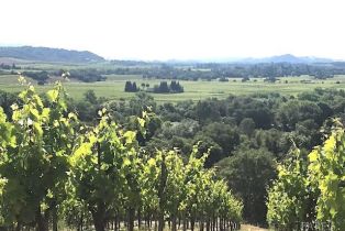 Residential Acreage,  Dry Creek road, Healdsburg, CA 95448 - 6