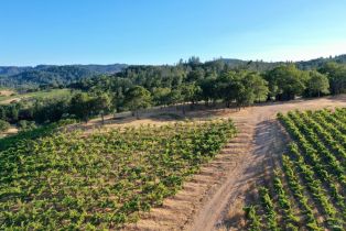 Residential Acreage,  Dry Creek road, Healdsburg, CA 95448 - 15