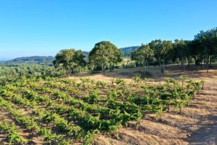 Residential Acreage,  Dry Creek road, Healdsburg, CA 95448 - 33