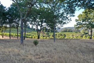 Residential Acreage,  Dry Creek road, Healdsburg, CA 95448 - 14