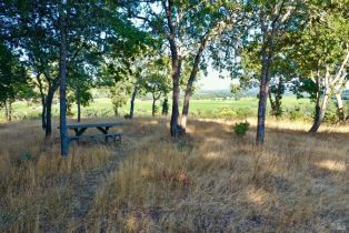 Residential Acreage,  Dry Creek road, Healdsburg, CA 95448 - 21