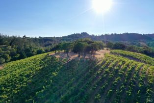 Residential Acreage,  Dry Creek road, Healdsburg, CA 95448 - 16