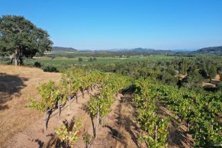 Residential Acreage,  Dry Creek road, Healdsburg, CA 95448 - 27