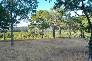 Residential Acreage,  Dry Creek road, Healdsburg, CA 95448 - 13