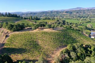 Residential Acreage,  Dry Creek road, Healdsburg, CA 95448 - 18