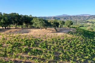 Residential Acreage,  Dry Creek road, Healdsburg, CA 95448 - 38