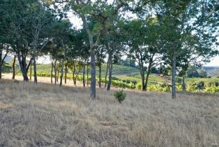 Residential Acreage,  Dry Creek road, Healdsburg, CA 95448 - 4