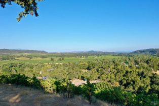 Residential Acreage,  Dry Creek road, Healdsburg, CA 95448 - 39