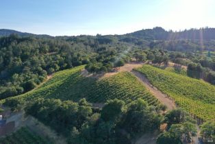 Residential Acreage,  Dry Creek road, Healdsburg, CA 95448 - 28