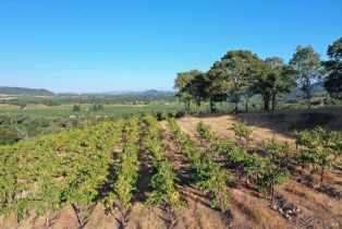 Residential Acreage,  Dry Creek road, Healdsburg, CA 95448 - 32