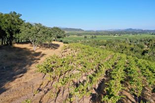 Residential Acreage,  Dry Creek road, Healdsburg, CA 95448 - 19