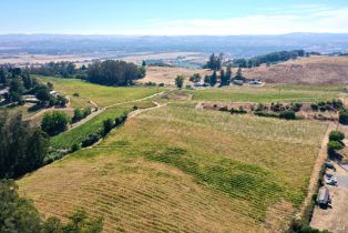 Single Family Residence,  Grange road, Santa Rosa, CA 95404 - 20