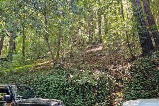 Residential Lot, 15179 Drake road, Russian River, CA 95446 - 6