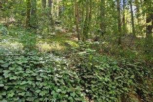 Residential Lot, 15179 Drake road, Russian River, CA 95446 - 7