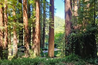 Residential Lot, 15179 Drake road, Russian River, CA 95446 - 12