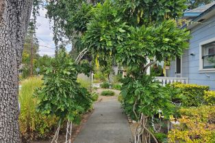 Single Family Residence,  Cedar street, Calistoga, CA 94515 - 28