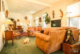 Single Family Residence,  Cedar street, Calistoga, CA 94515 - 4