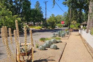 Single Family Residence,  Cedar street, Calistoga, CA 94515 - 23