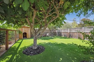 Single Family Residence,  Verano avenue, Sonoma, CA 95476 - 34