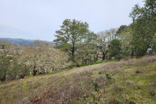 Residential Lot,  Holland drive, Santa Rosa, CA 95404 - 9